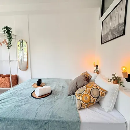 Castle Garden Flat 公寓